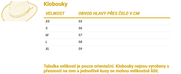 Snímek obrazovky 2025-07-31 101007